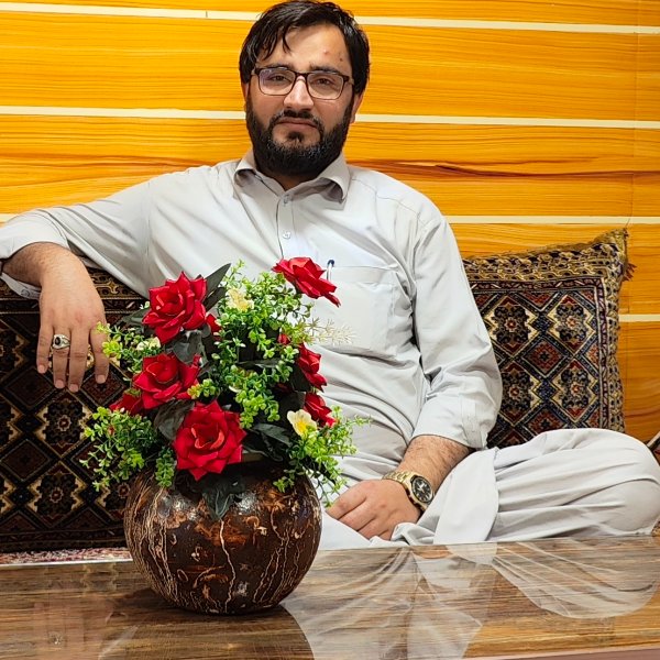 Profile artwork for Salahuddin Safi