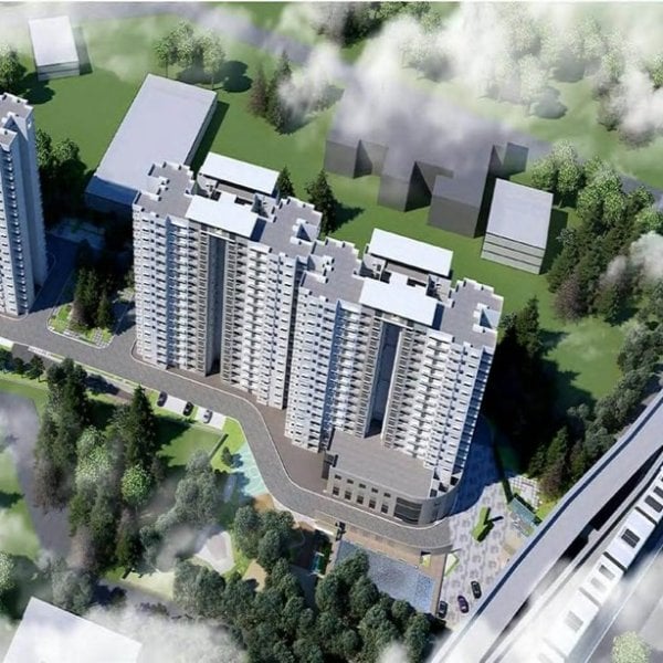 Profile artwork for Prestige Golden Grove