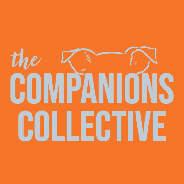 Profile artwork for The Companions Collective