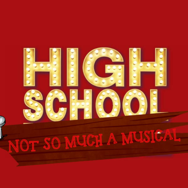 Profile artwork for High School Not So Much A Musical