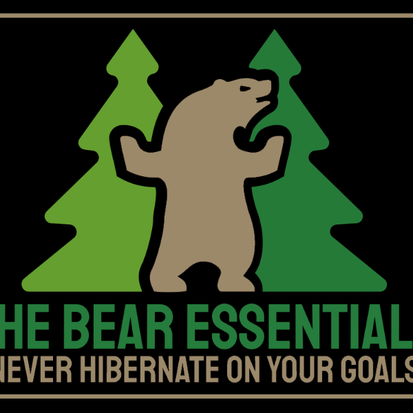 Profile artwork for The Bear Essentials