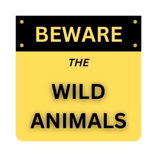 Profile artwork for BEWARE THE WILD ANIMALS