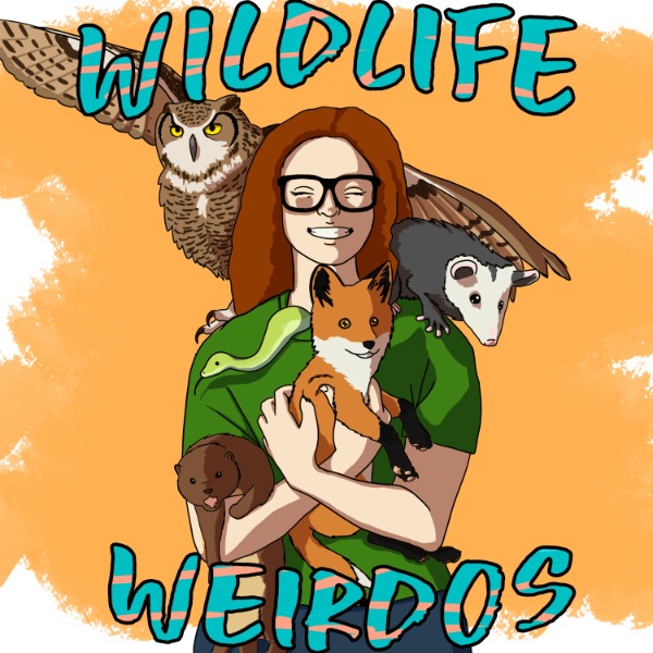 Profile artwork for Wildlife Weirdos