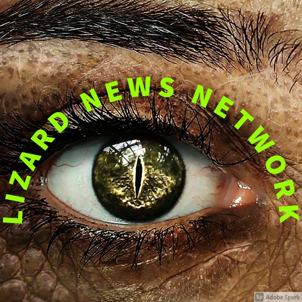 Profile artwork for Lizard News Network