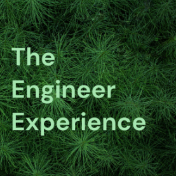 Profile artwork for The Engineer Experience