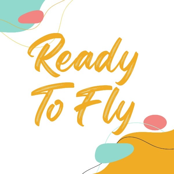 Profile artwork for Ready To Fly