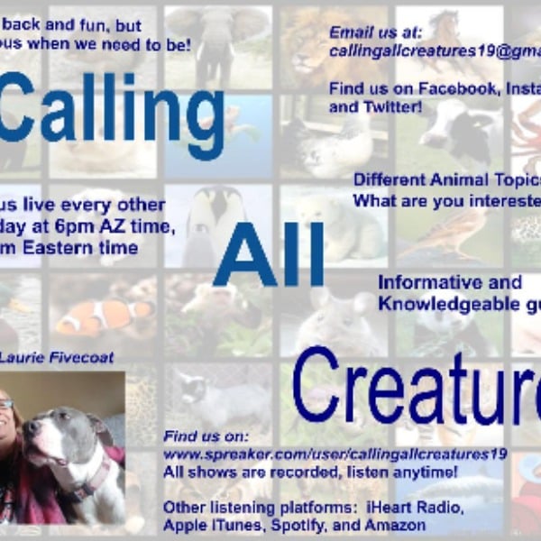 Profile artwork for Calling All Creatures