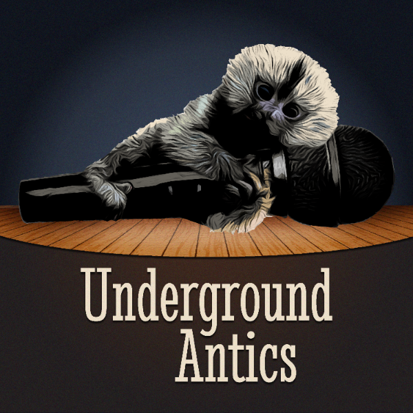 Profile artwork for Underground Antics with Shane Pokroy